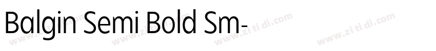Balgin Semi Bold Sm字体转换